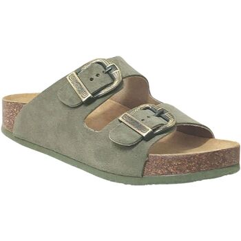 Plakton Slippers  Cp Beta west