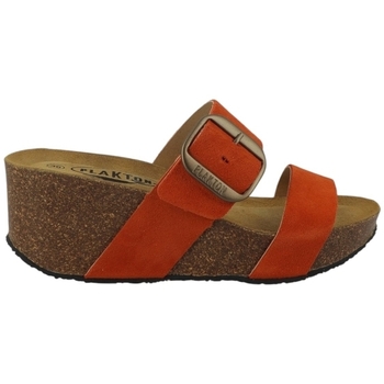 Plakton Slippers  SO ROCK