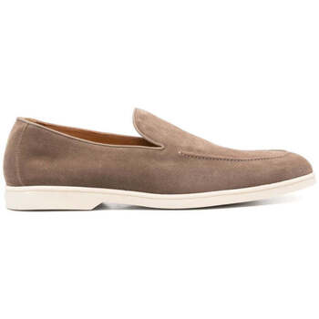 Doucal's Mocassins  -