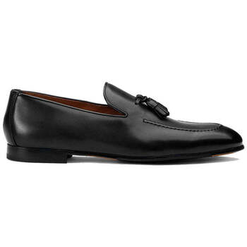 Doucal's Mocassins  -