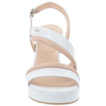 NeroGiardini Pumps  E513352D