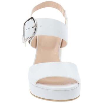 NeroGiardini Pumps  E513354D
