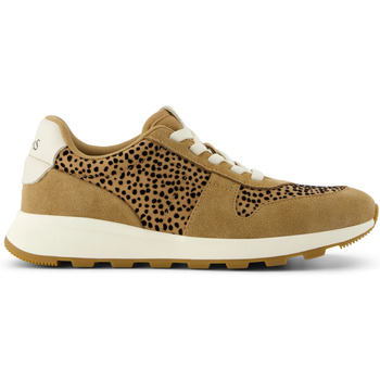 TOMS Sneakers  Baskets femme Trvl Lite Retro