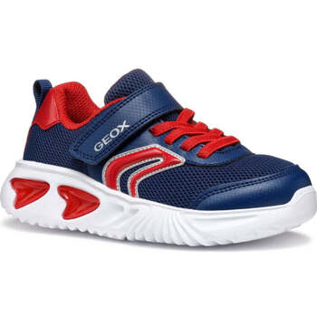 Geox Lage Sneakers  -