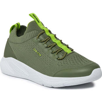 Geox Lage Sneakers  -
