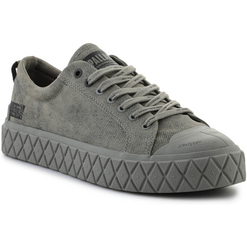 Palladium Lage Sneakers  Palla Ace LO Surplus 74488-351-M ALL VETIVER