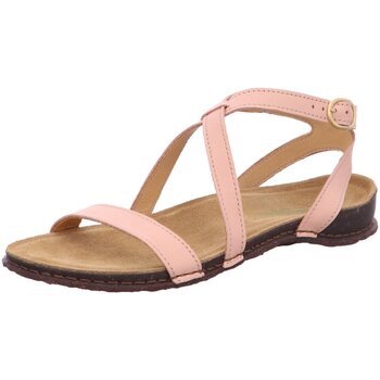 El Naturalista Sandalen  -