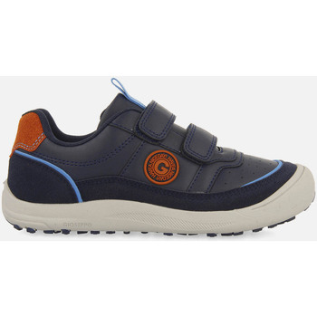 Gioseppo Sneakers  AFERTOD