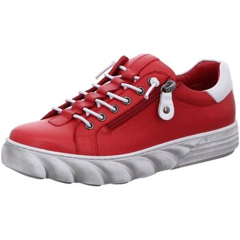 Gemini Sneakers  -