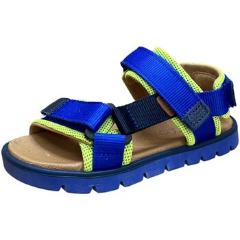 Froddo Sandalen  -