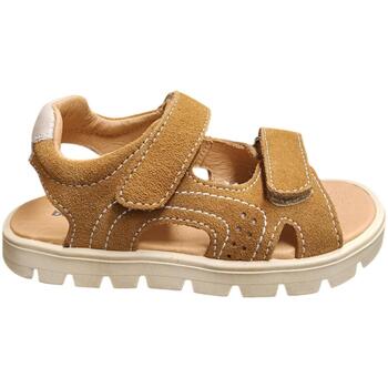 Balocchi Sandalen  BART