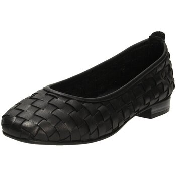 XTI Ballerina's  -