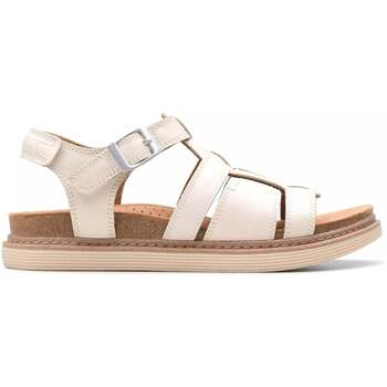 Clarks Sandalen  Arwell Sun