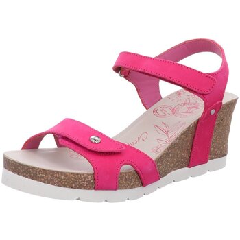 Panama Jack Sandalen  -