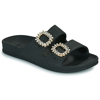 Cacatoès Slippers  BARRA
