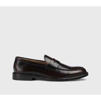 Doucal's Mocassins  -