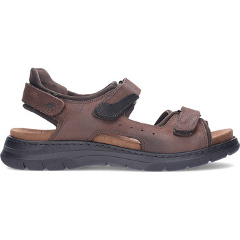 Fluchos Sandalen  Kairo F1773 herensandalen