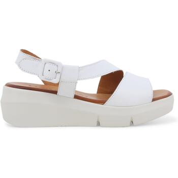 Melluso Sandalen  R80424Z-245186