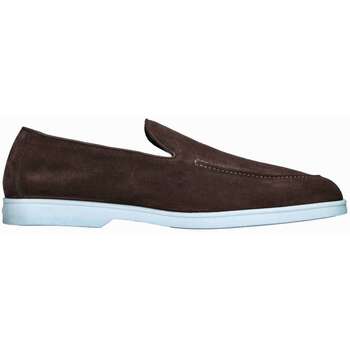 Doucal's Mocassins  -