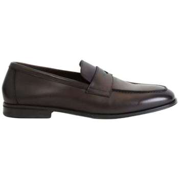 Doucal's Mocassins  -