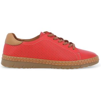 Melluso Lage Sneakers  K70006Z-248112
