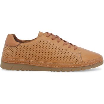 Melluso Lage Sneakers  K70006Z-252115