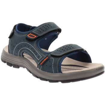 Valleverde Sandalen  VV54802