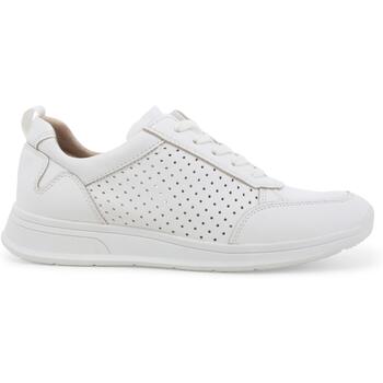 Melluso Lage Sneakers  K60108BK-244209