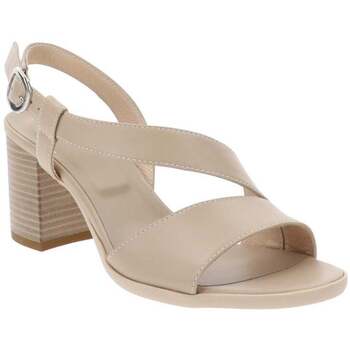 NeroGiardini Pumps  E510440D