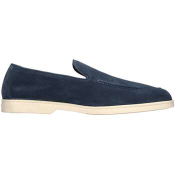 Doucal's Mocassins  -