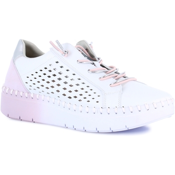 Grunland Lage Sneakers  DSG-SC4583