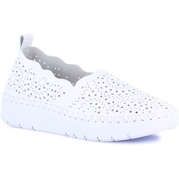 Grunland Instappers  DSG-SC4374