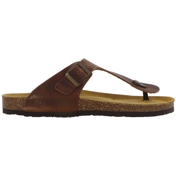 Plakton Slippers  BOLERO APURE ROBLE 225-X / CARBO 175081