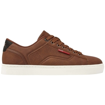 British knights Nette schoenen  DALE 213-BROWN/BLACK Marron