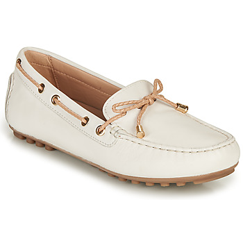 Geox Bootschoenen  D LEELYAN C
