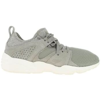 Puma Nette schoenen  BLAZE CT 02 ROCK RIDGE - WHISPER W 363749