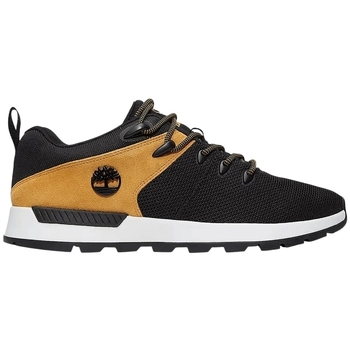 Timberland Nette schoenen  SPRINT TREKKER LOW LACE U TB0A6DC1EF01-BLACK MESH W Noir