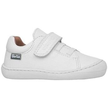 Gorila Sneakers  -