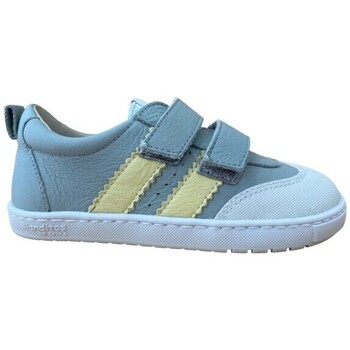 Blanditos Sneakers  -