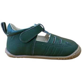 Titanitos Sneakers  -