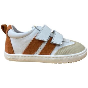 Blanditos Sneakers  -
