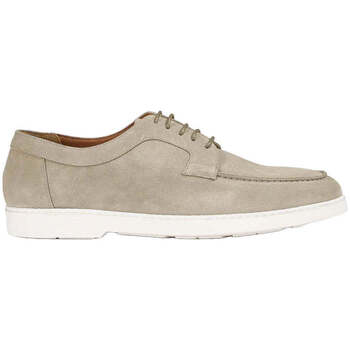 Doucal's Mocassins  -
