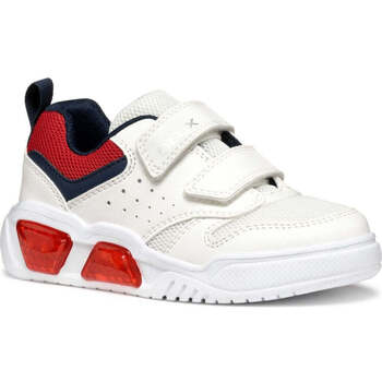 Geox Lage Sneakers  -