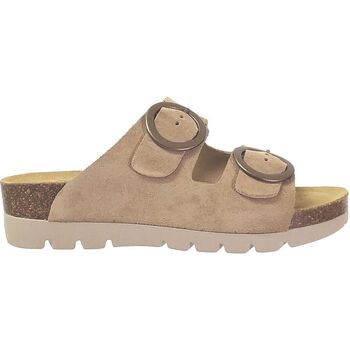 Plakton Slippers  Memory