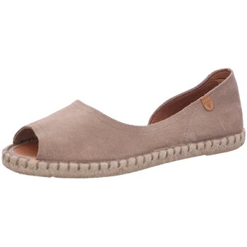 Verbenas Mocassins  -