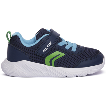 Geox Sneakers  CF43U SPRIBTYE