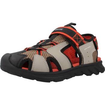 Geox Sandalen  SANDAL AIRADYUM F