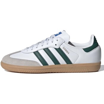 Adidas Sneakers  -