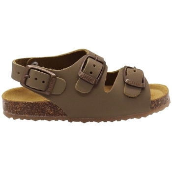 Plakton Sandalen  Petrol Baby Sandals - Kaki