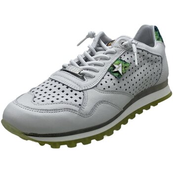 Cetti Sneakers  -